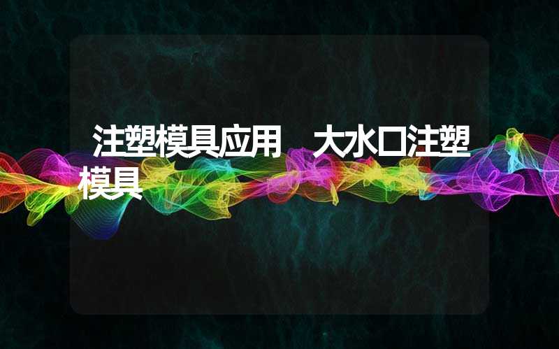 注塑模具应用 大水口注塑模具